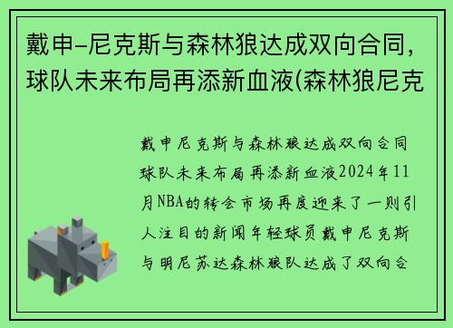 戴申-尼克斯与森林狼达成双向合同，球队未来布局再添新血液(森林狼尼克斯常规赛视频)